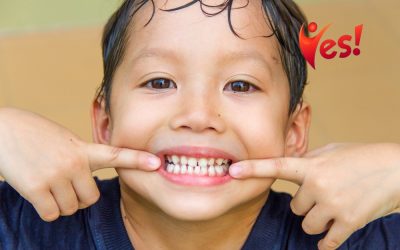 How Children's Teeth Erupt and Fall Out